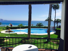 PALMERAS 53 MENYBER